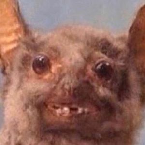 Meet your Posher, Edier